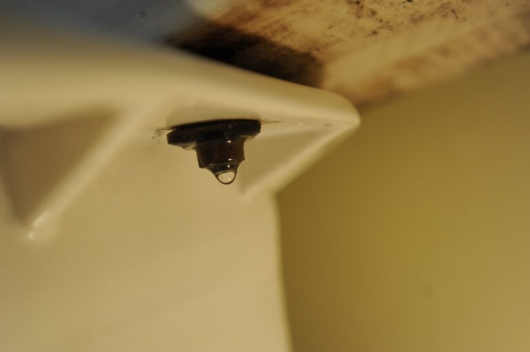 Toilet Leaking From Tank Bolts? Here Is How To Fix It Evolving Home